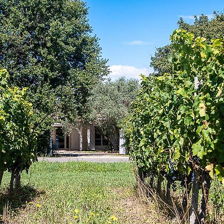 Au Detour Des Vignes Bed and Breakfast Ordonnac Buitenkant foto