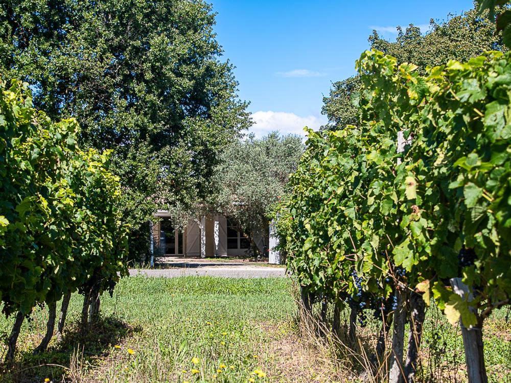 Au Detour Des Vignes Bed and Breakfast Ordonnac Buitenkant foto